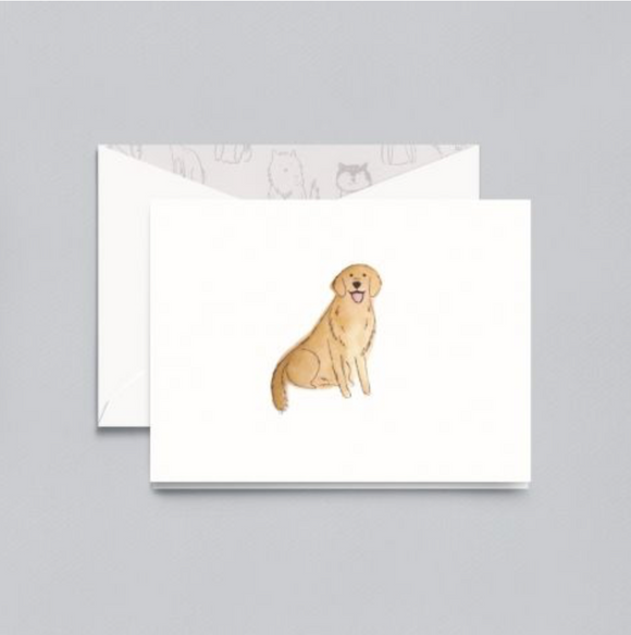 Crane Golden Retriever Notes