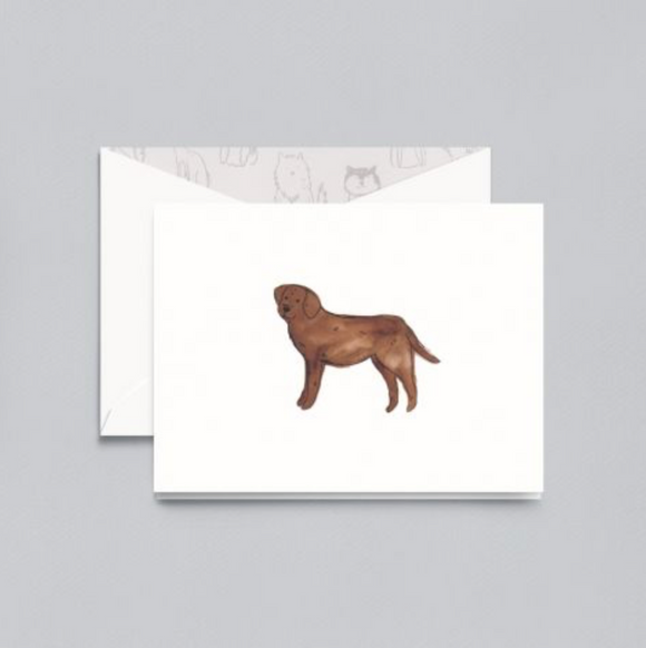 Crane Labrador Retriever Notes