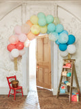 Balloon Arch Kit in Gold or Rainbow