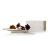 Thymes Frasier Fir Porcelain Potpourri